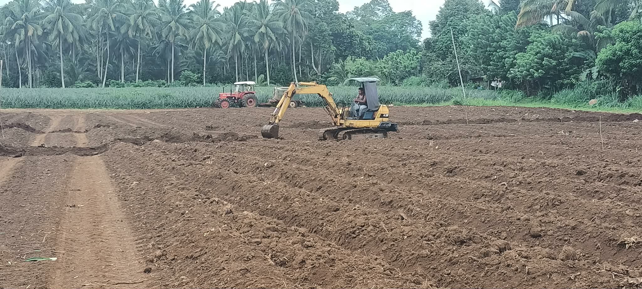 Farm development